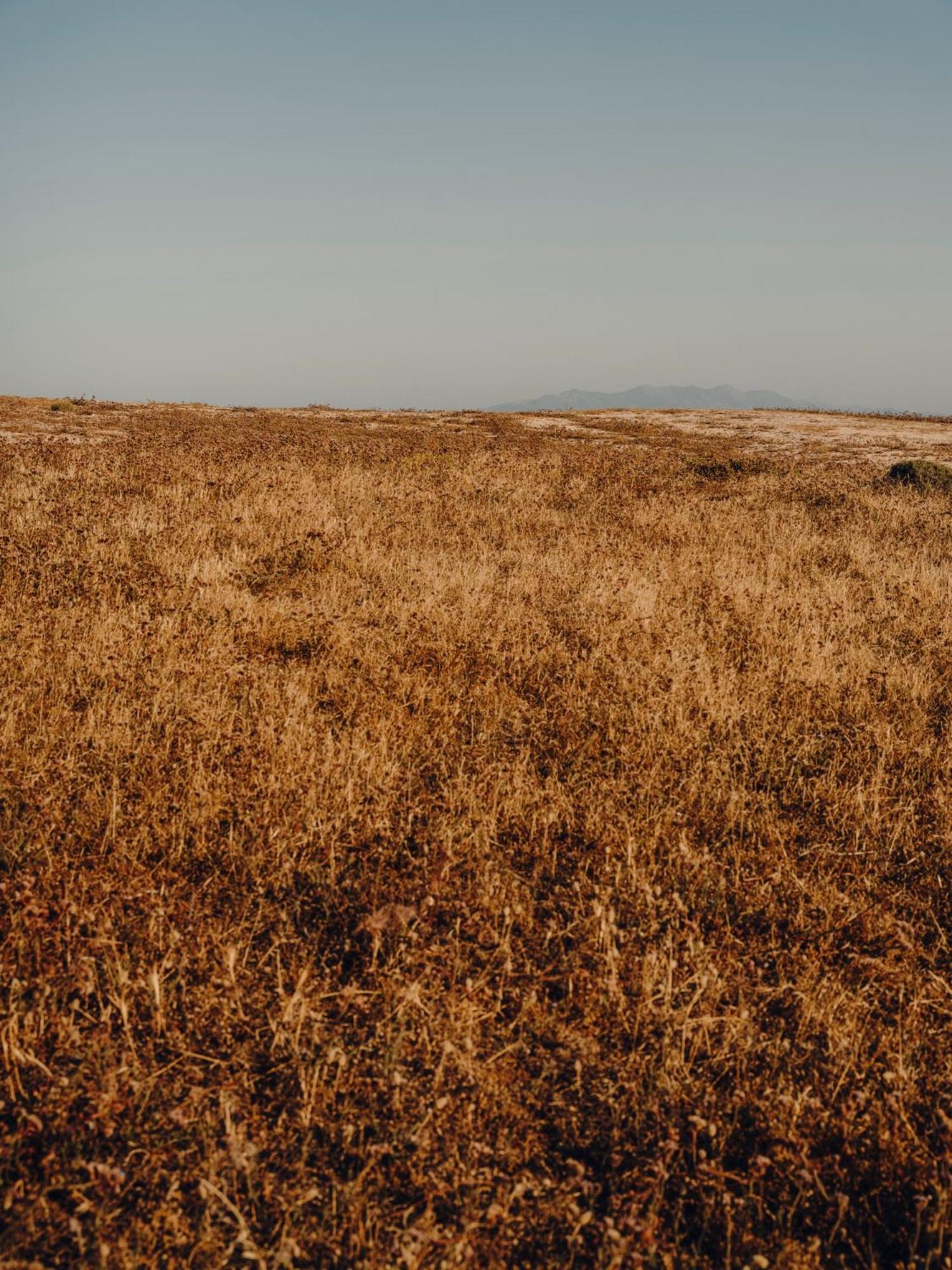 The Wild By Interni Hotel Калафатис Екстериор снимка